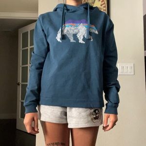 Rare Patagonia hoodie